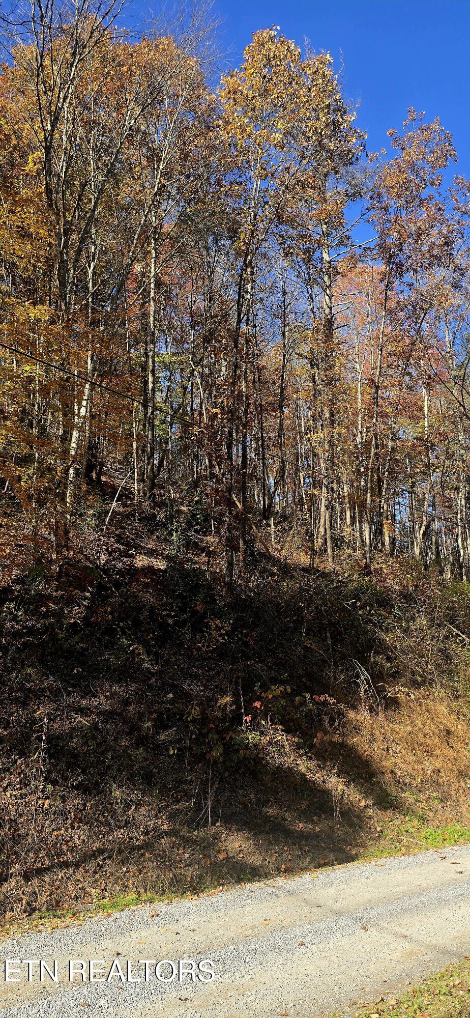 Emerald Springs Loop Sevierville, TN 37862 - Photo 7 of 19 20251106_122057