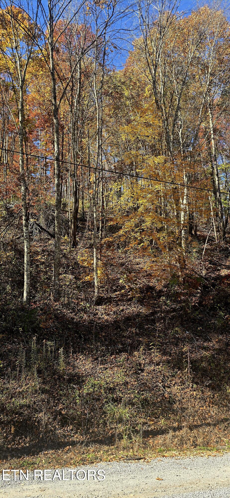 Emerald Springs Loop Sevierville, TN 37862 - Photo 8 of 19 20251106_122055