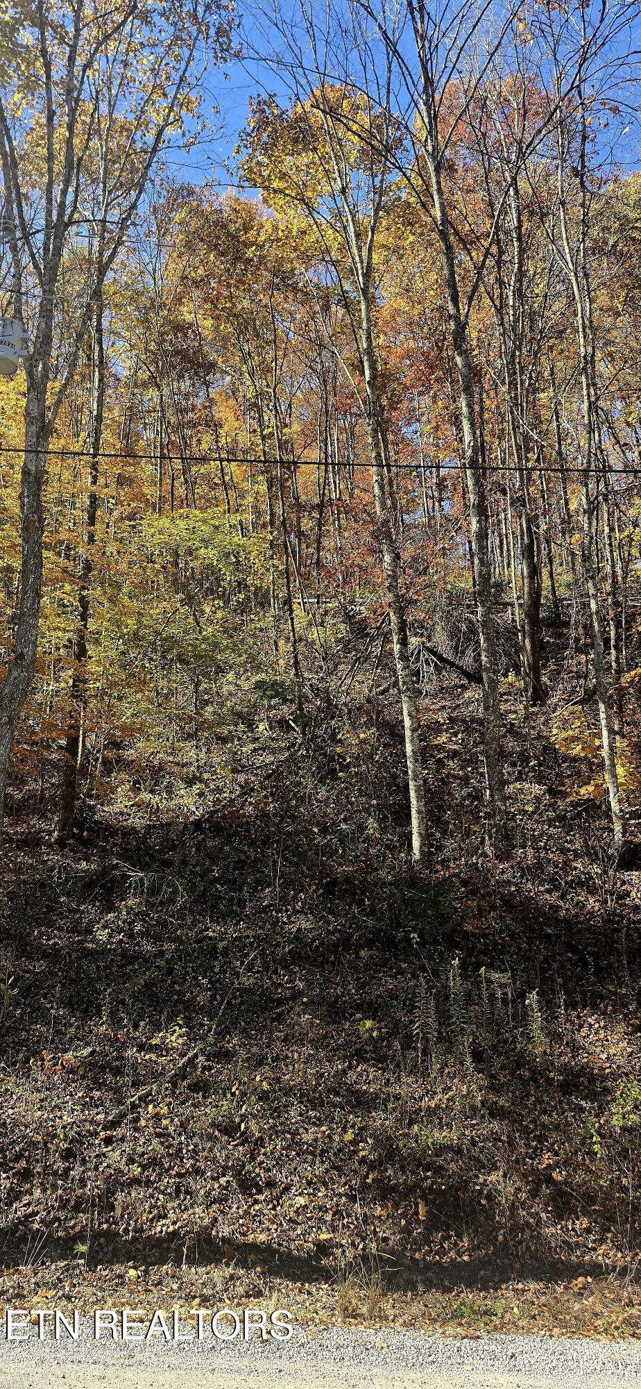 Emerald Springs Loop Sevierville, TN 37862 - Photo 9 of 19 20251106_122052