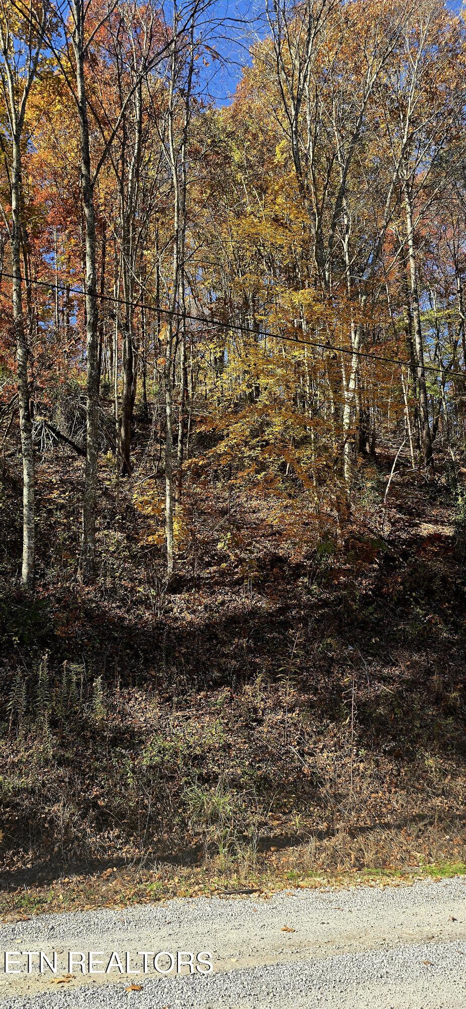 Emerald Springs Loop Sevierville, TN 37862 - Photo 10 of 19 20251106_122042