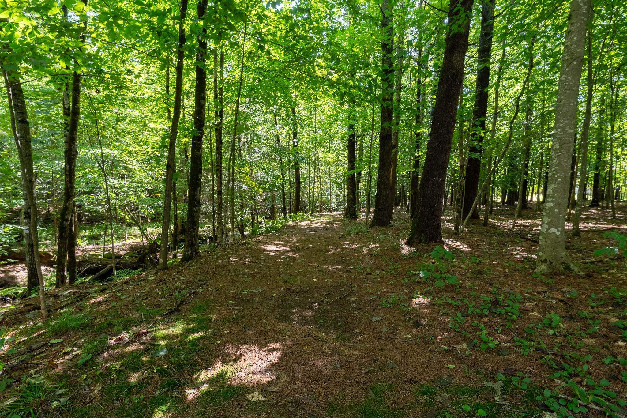 79 Middle Road Tuftonboro, NH 03816 - Photo 15 of 33 Gallery Image 15