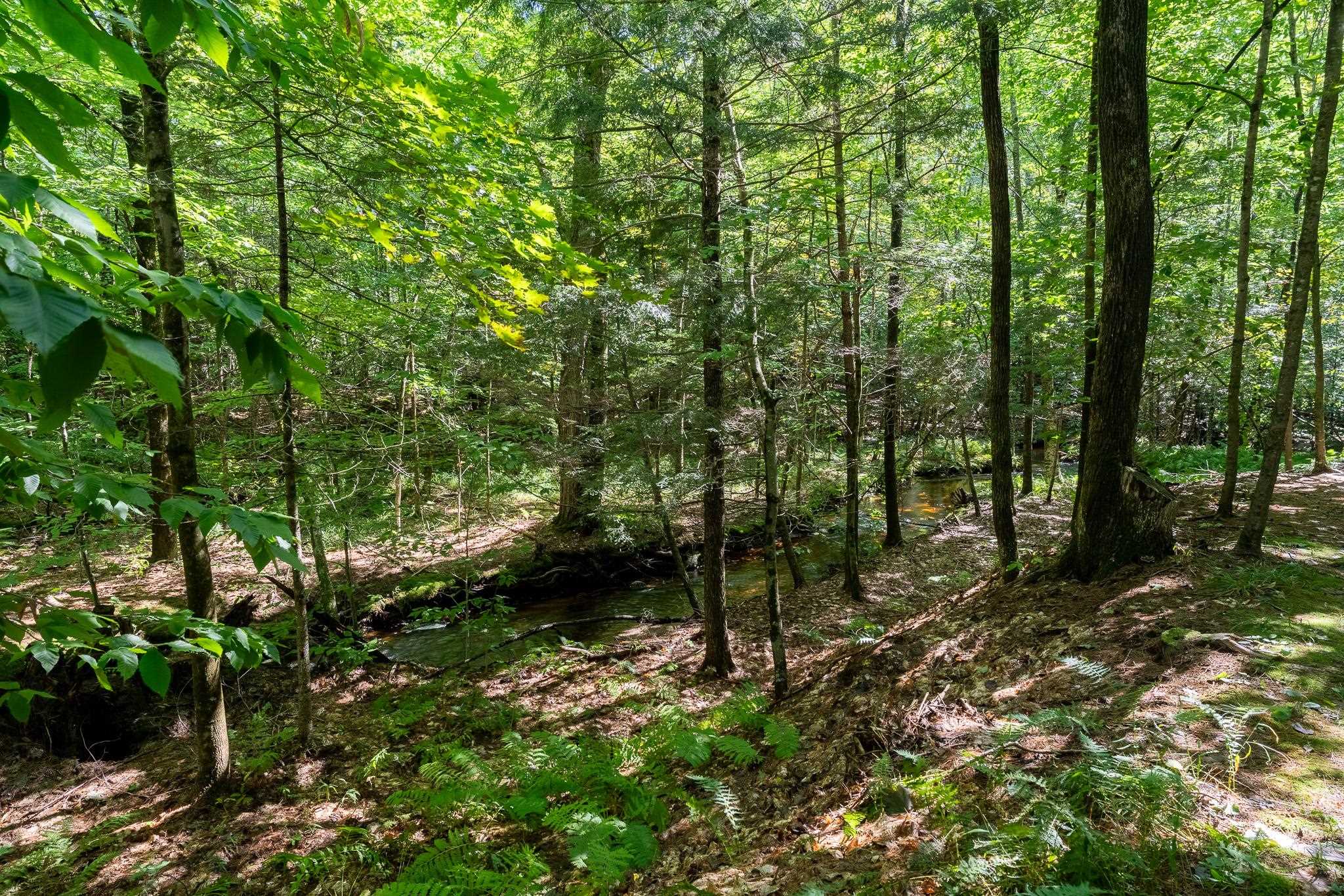 79 Middle Road Tuftonboro, NH 03816 - Photo 16 of 33 Gallery Image 16