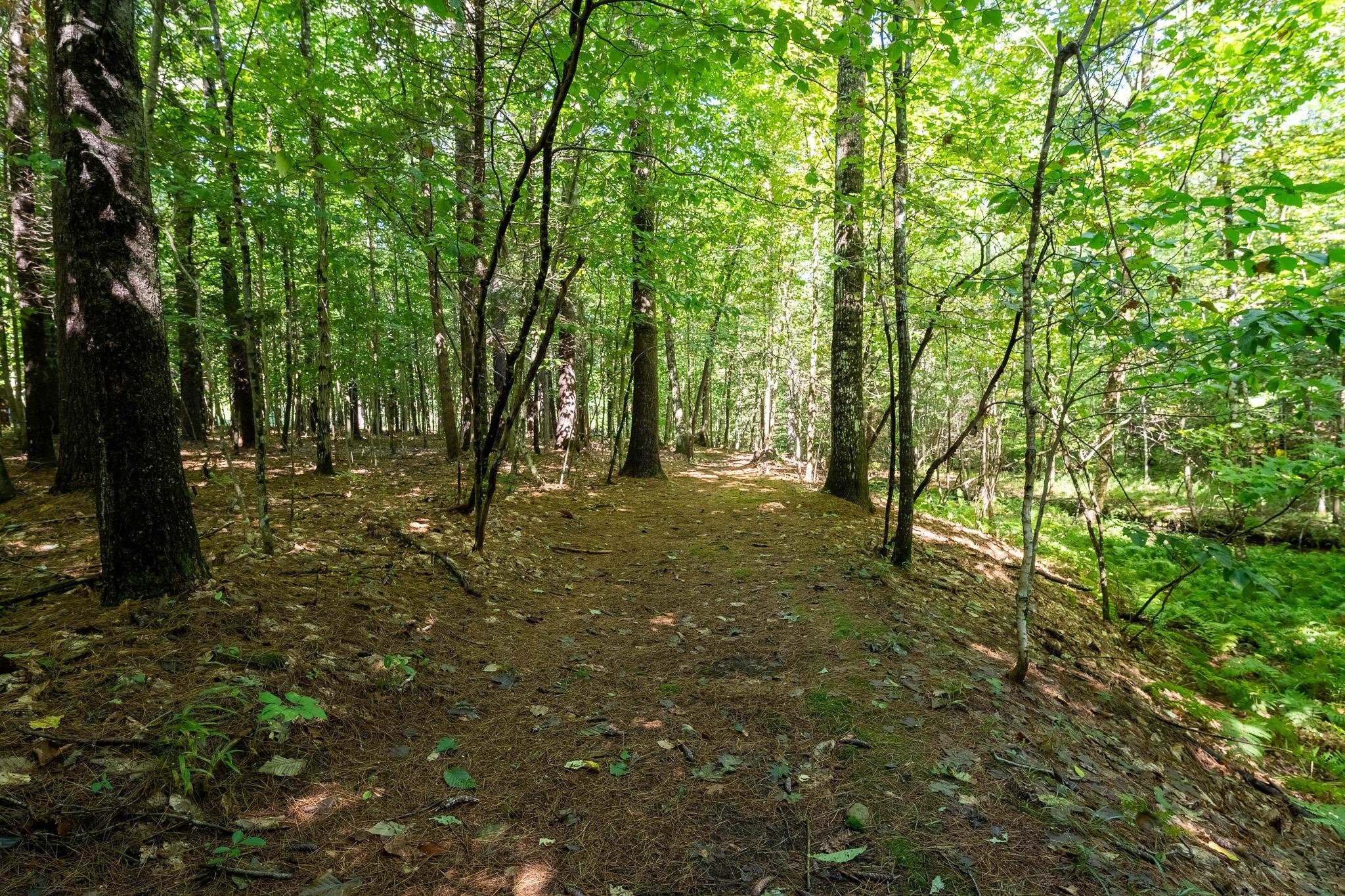 79 Middle Road Tuftonboro, NH 03816 - Photo 17 of 33 Gallery Image 17