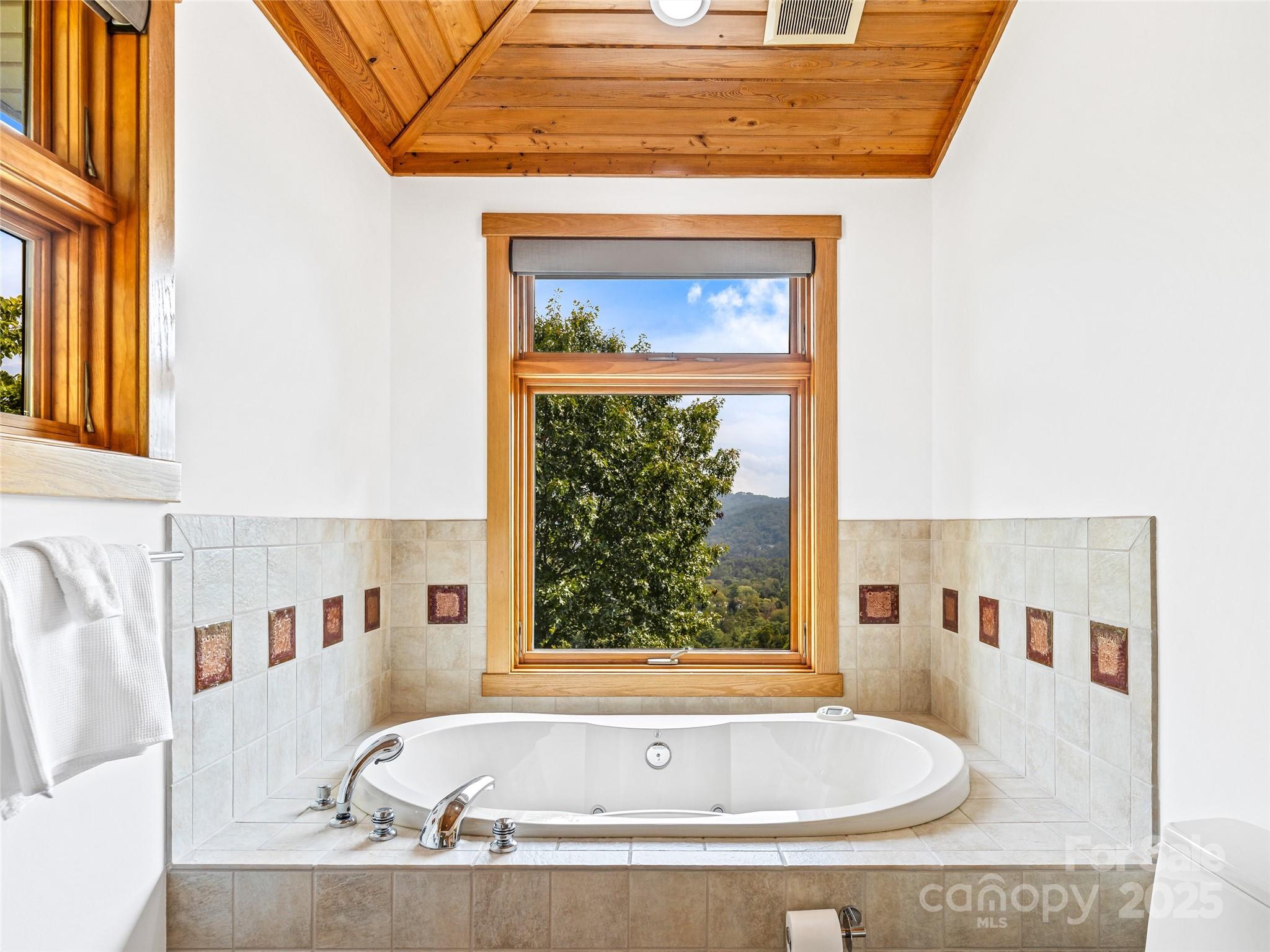 136 Senator Reynolds Road Asheville, NC 28804 - Photo 29 of 48 a bath tub sitting next to a window