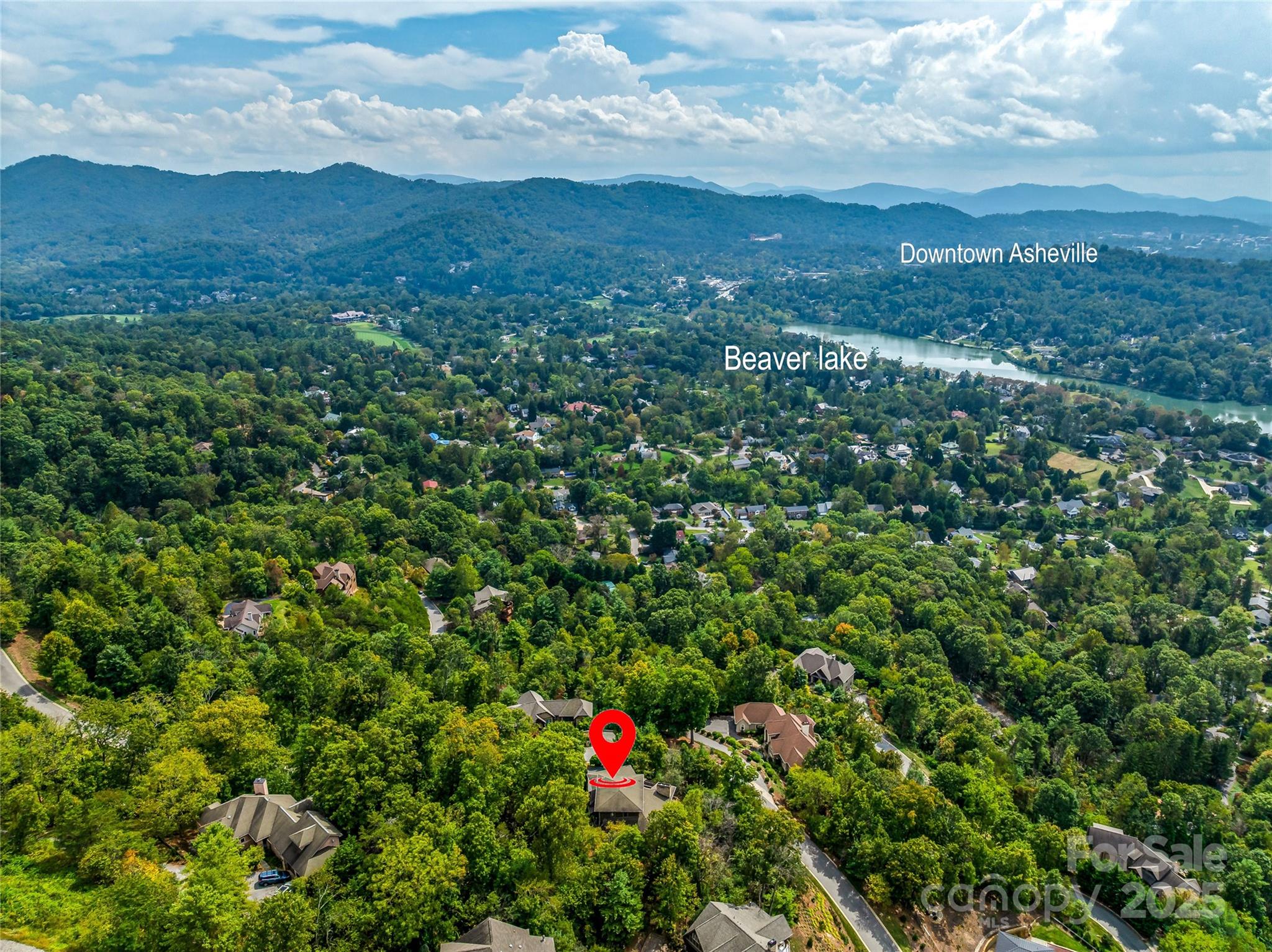 136 Senator Reynolds Road Asheville, NC 28804 - Photo 4 of 48 a view of a city with lush green forest