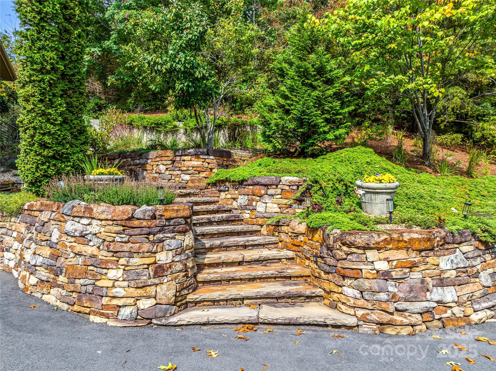 136 Senator Reynolds Road Asheville, NC 28804 - Photo 7 of 48 a view of a garden with plants and large trees