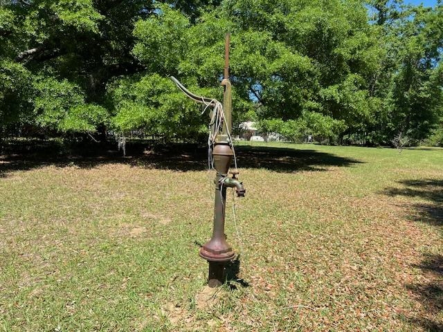 328 Northeast Prairie Road Madison, FL 32340 - Photo 5 of 41