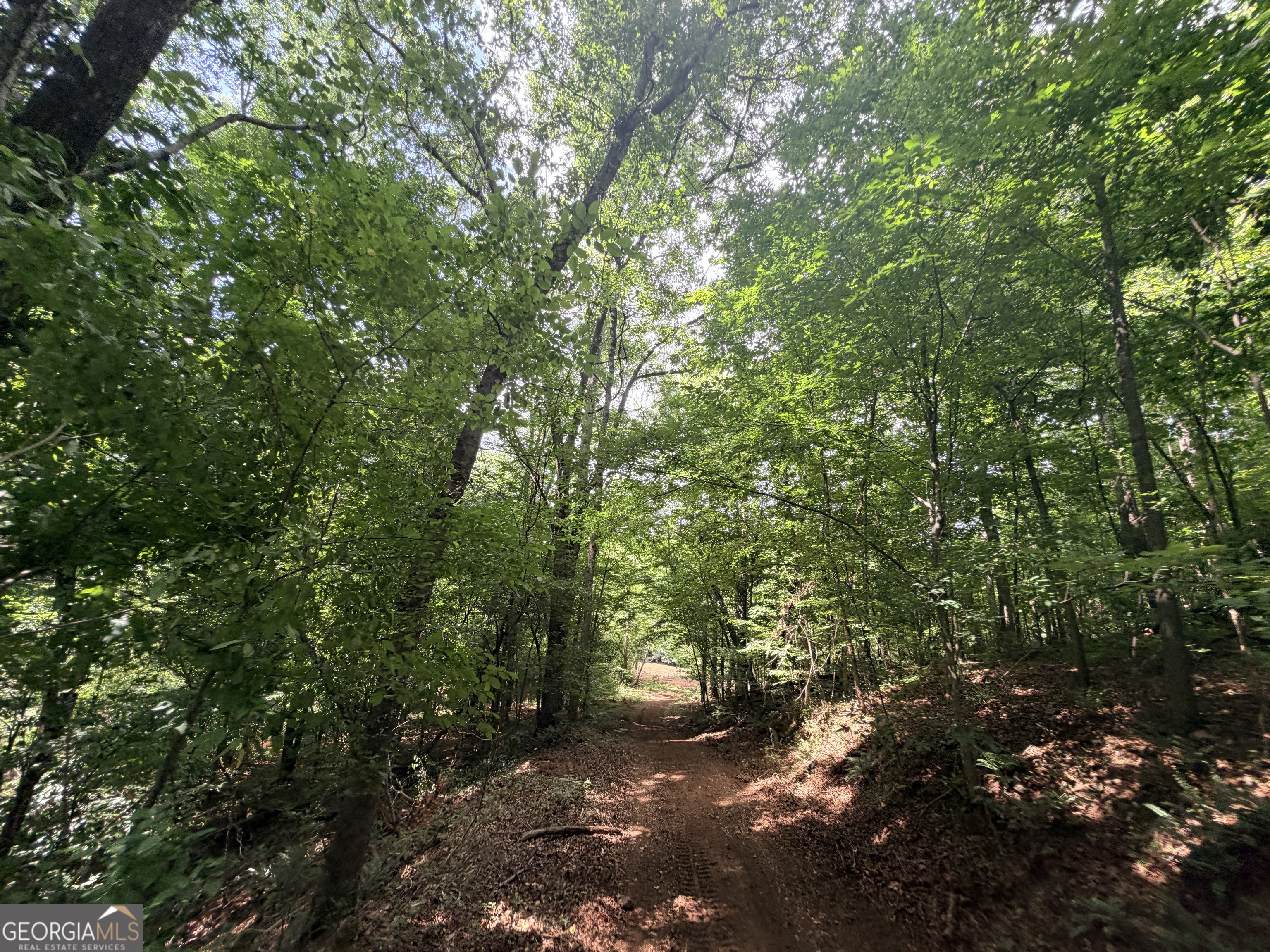 1590 James Adams Road Danielsville, GA 30633 - Photo 45 of 98