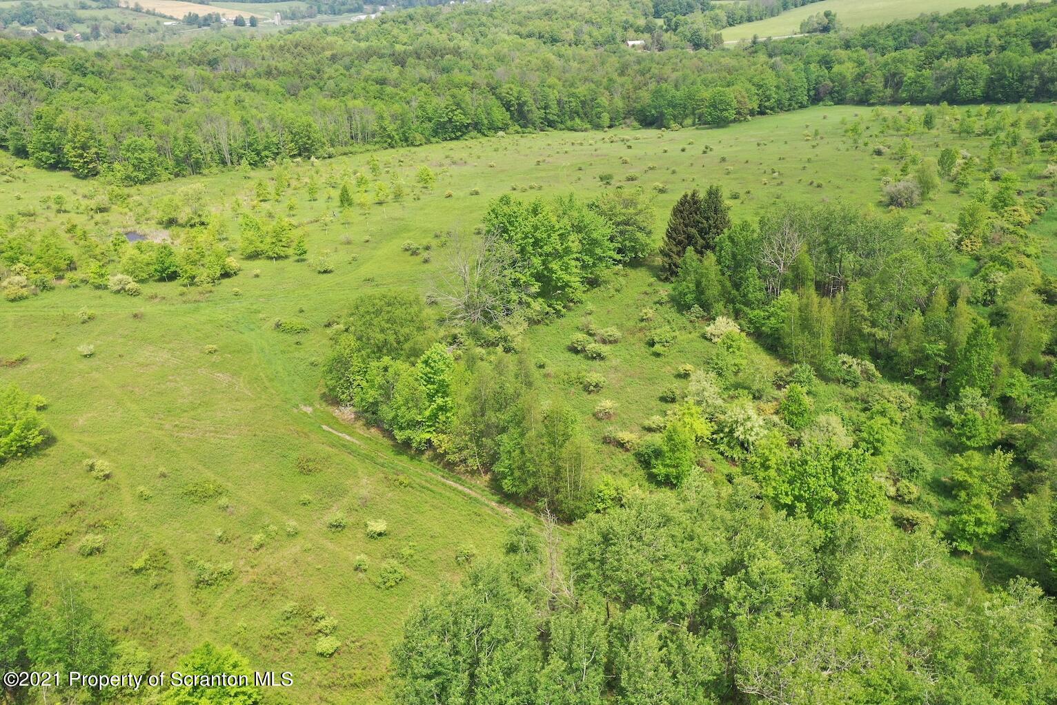 FIelds