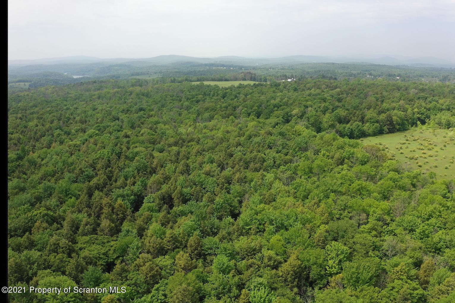 wooded