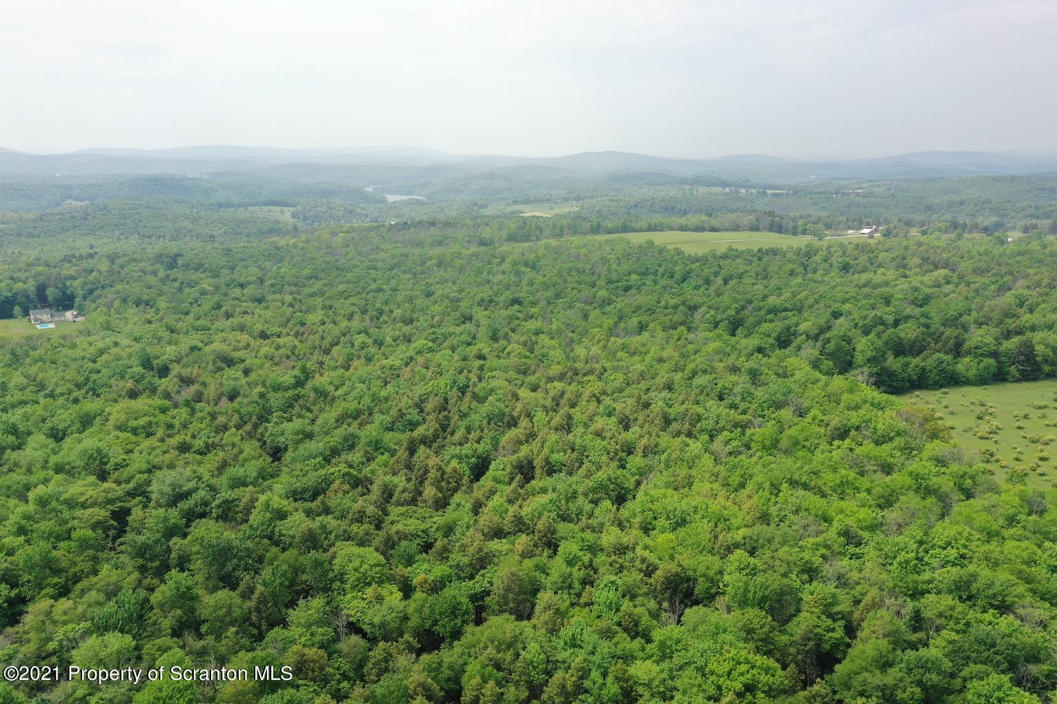 Marshbrook Road Dalton, PA 18414 - Photo 10 of 20 wooded
