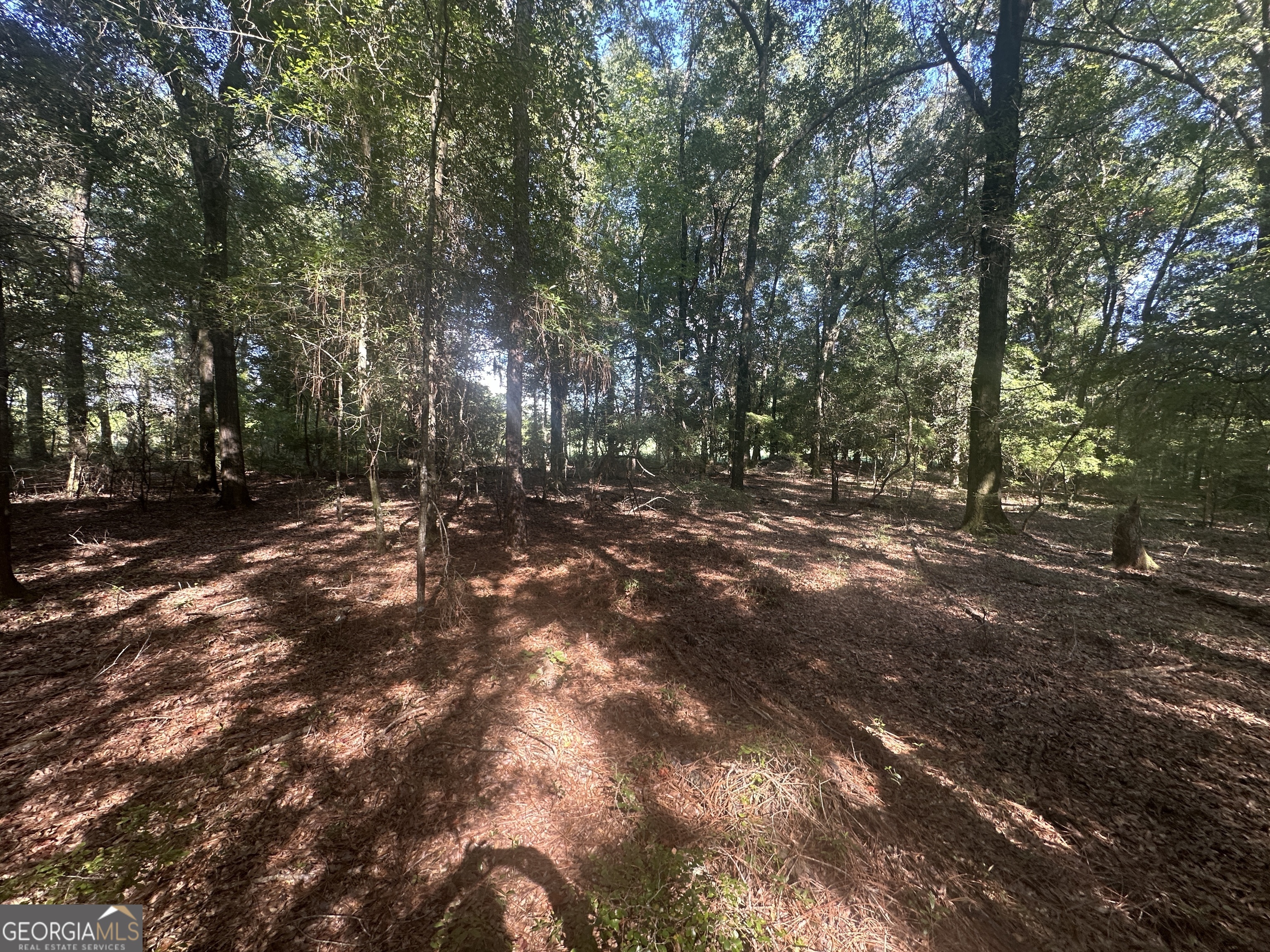 a view of outdoor space with trees