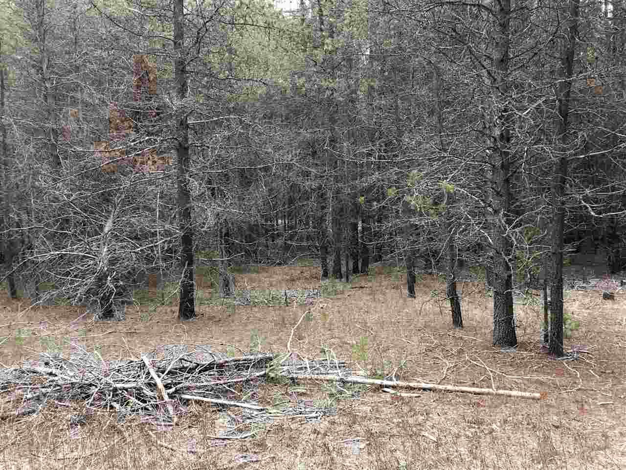 1465 Scotia Road Newport, WA 99156 - Photo 10 of 11 Gallery Image 10