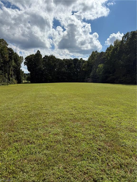 0 Harlow Road Archdale, NC 27263 - Photo 3 of 4