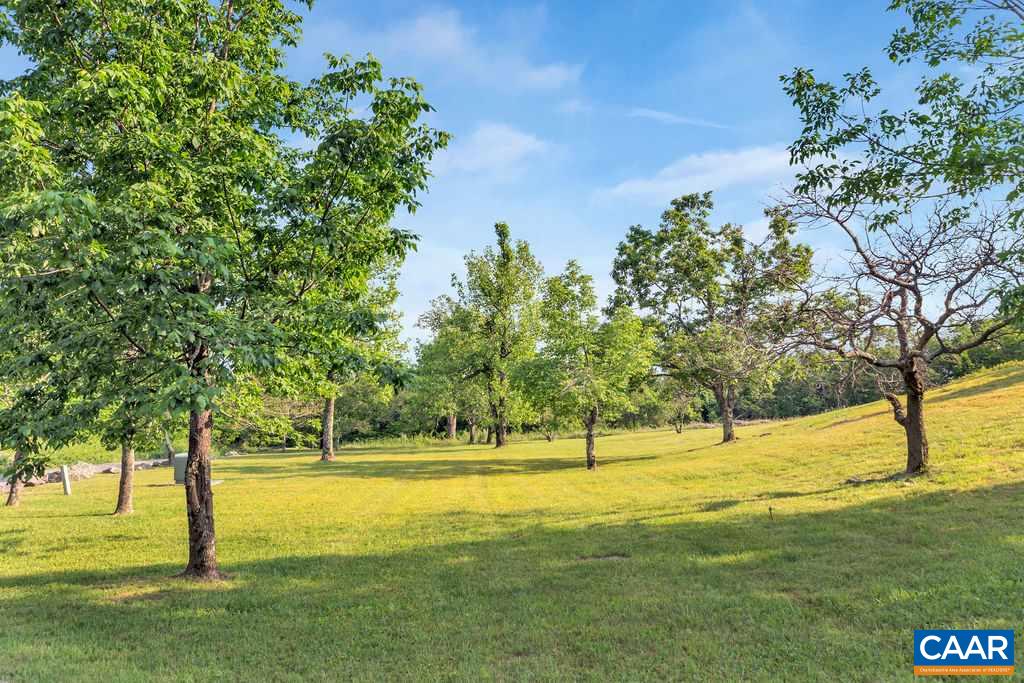 2317 Flattop Mountain Road Free Union, VA 22940 - Photo 45 of 49 Gallery Image 45