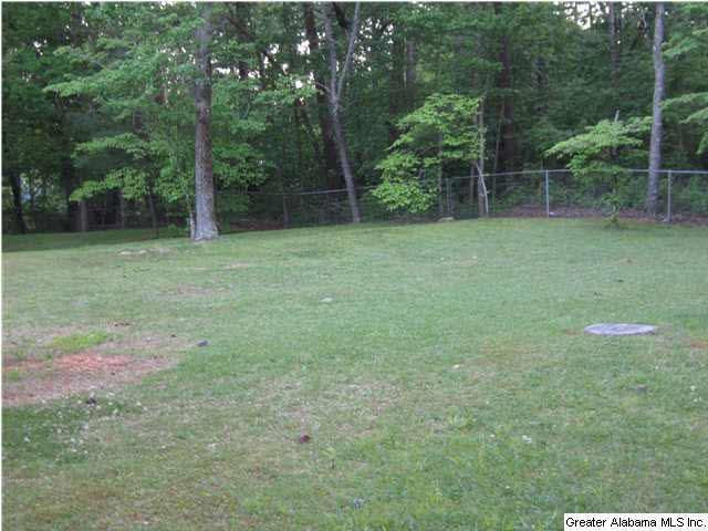 6168 Old Springville Road Pinson, AL 35126 - Photo 22 of 22