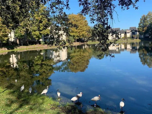 $1,250 | 1908 Lake Atriums Circle, Unit 4, Orlando, FL 32839