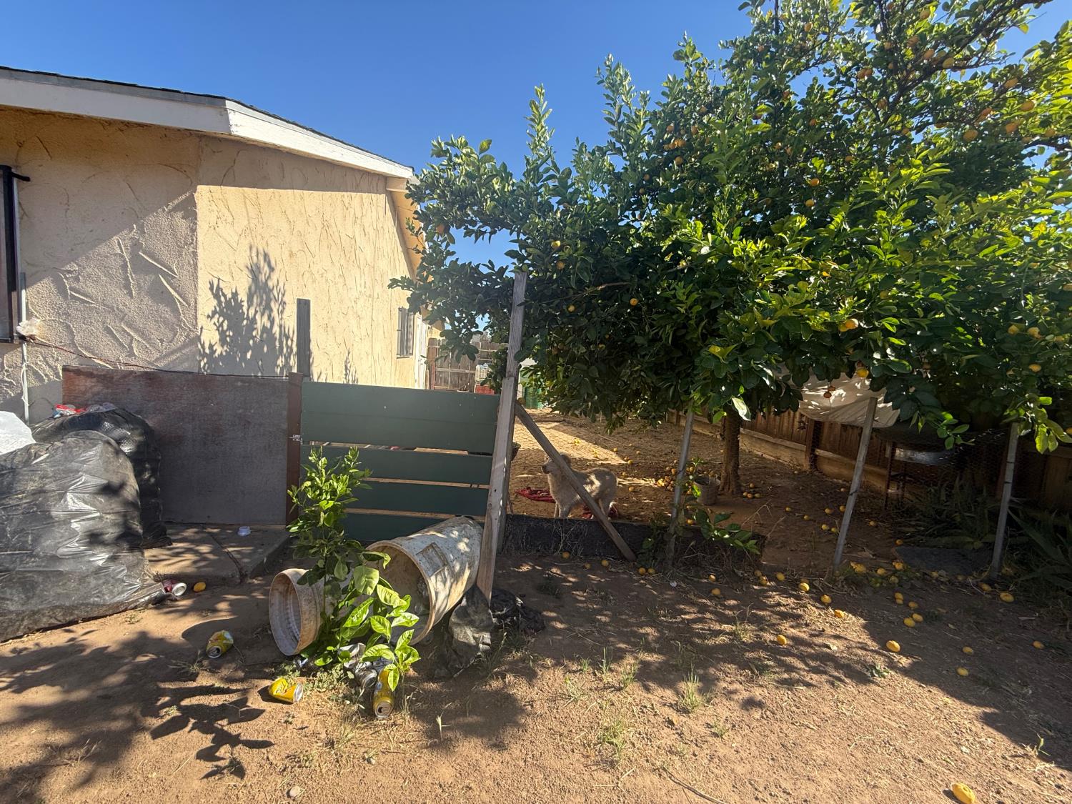 829 Ashlan Way Madera, CA 93638 - Photo 16 of 19