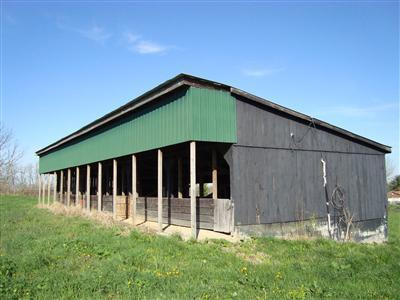 375 Stoney Point Road Paris, KY 40361 - Photo 5 of 25 Photo 5
