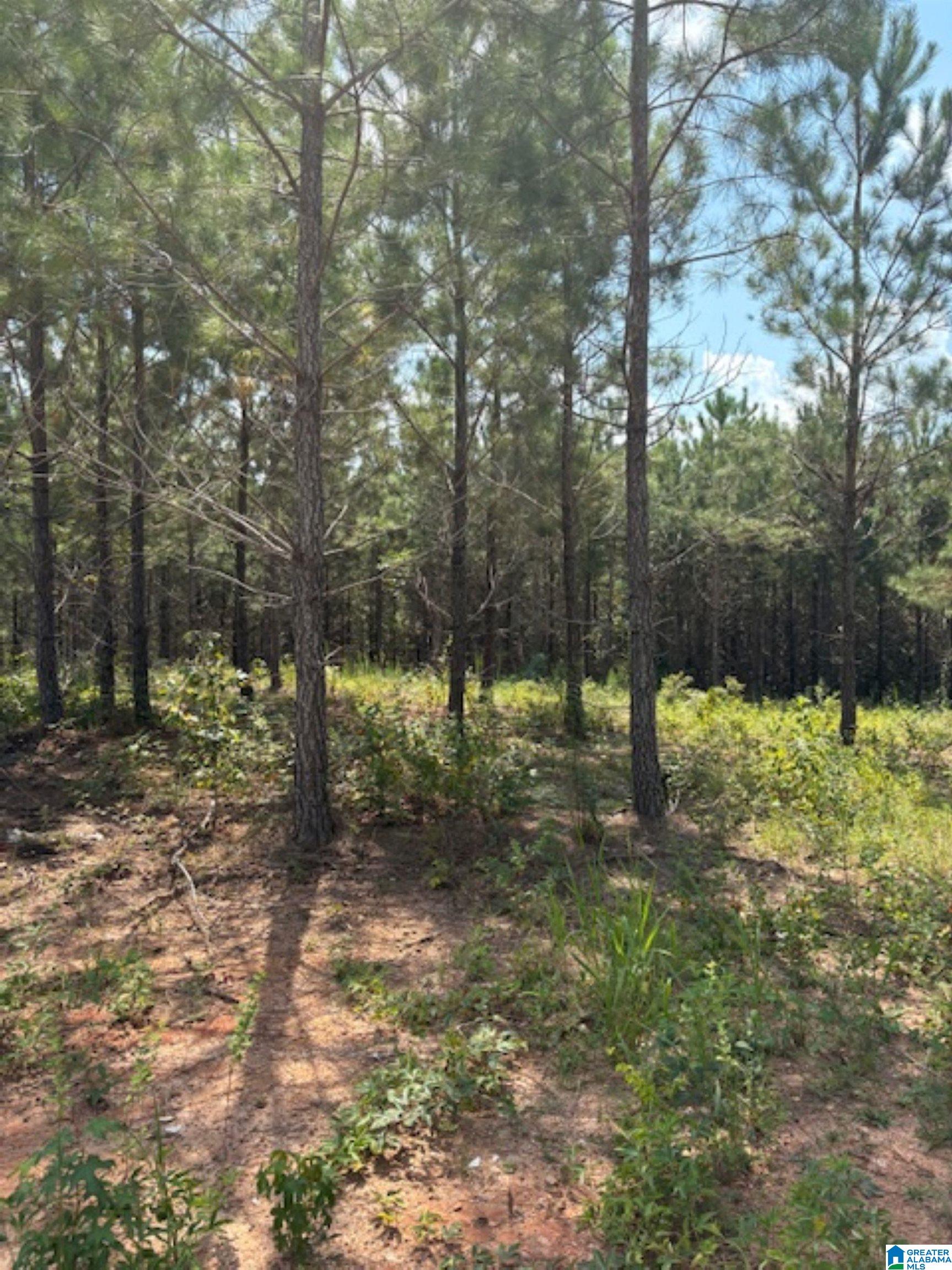 472 County Road, Unit 2 Clanton, AL 35045 - Photo 4 of 10