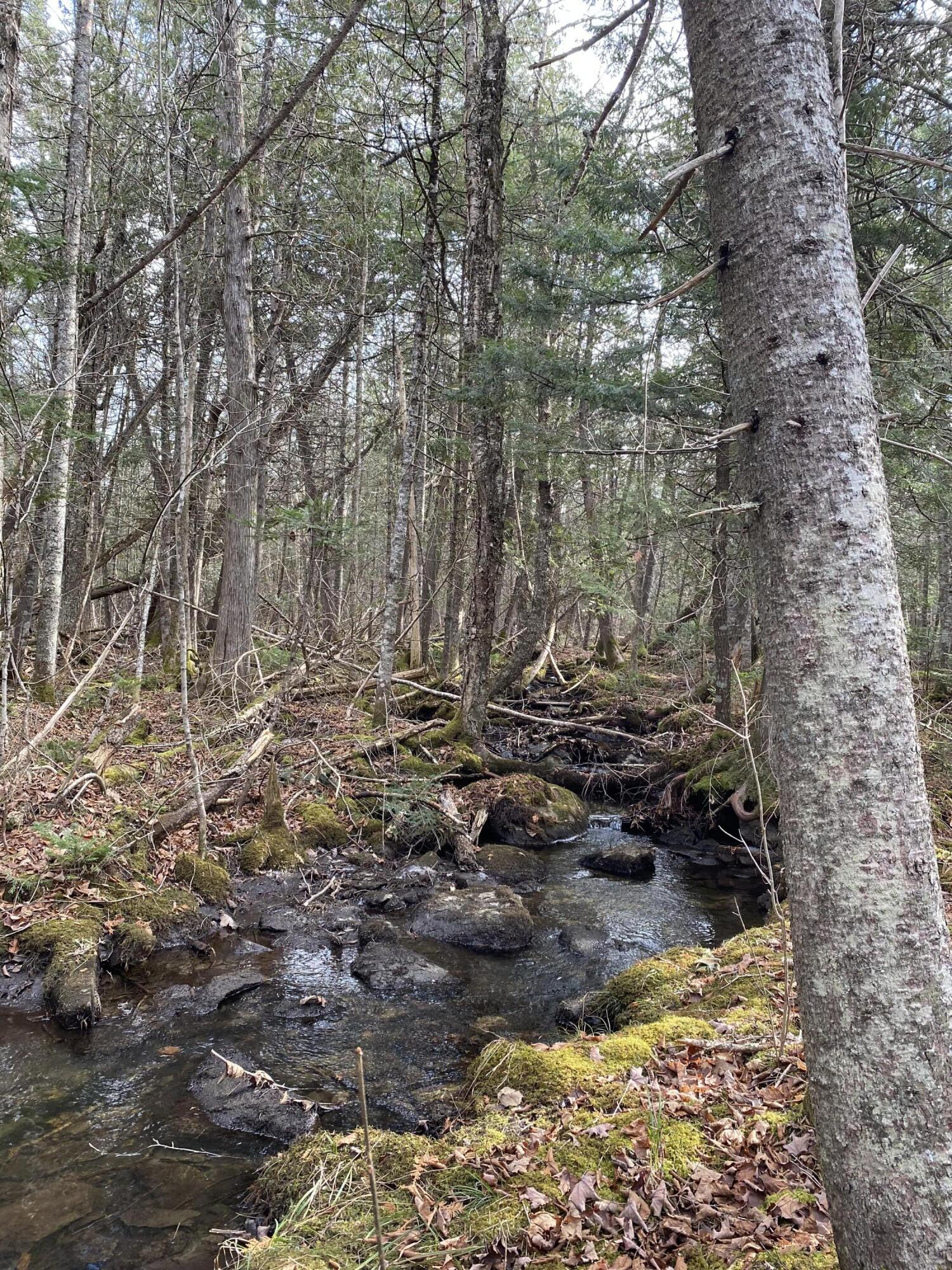 Lot 023 Pleasant Ridge Road Dexter, ME 04930 - Photo 2 of 7 IMG_8522