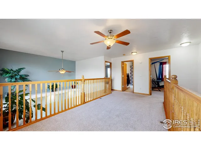 a black and white photo of a park