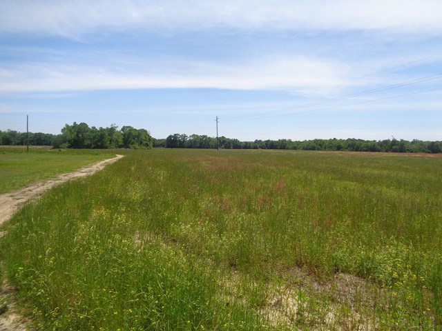 5.46 National Road Dothan, AL 36301 - Photo 4 of 8
