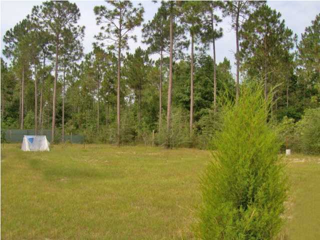 3537 Richardson Road Crestview, FL 32539 - Photo 11 of 29 a view of a field with trees in the background