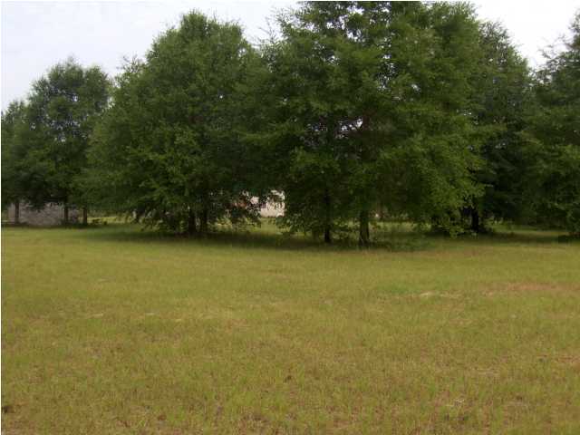 3537 Richardson Road Crestview, FL 32539 - Photo 16 of 29 a view of a lake