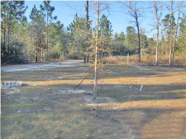 3537 Richardson Road Crestview, FL 32539 - Photo 2 of 29 a view of a yard with large trees