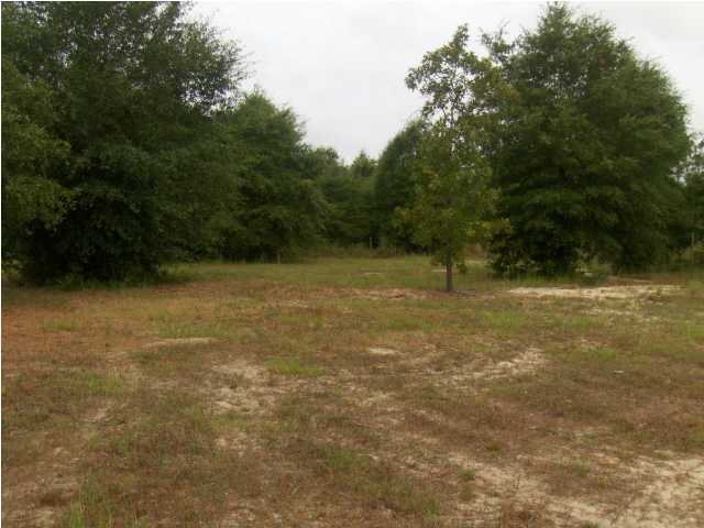 3537 Richardson Road Crestview, FL 32539 - Photo 21 of 29 a view of outdoor space and yard