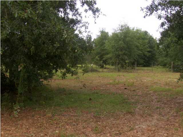 3537 Richardson Road Crestview, FL 32539 - Photo 23 of 29 a view of a forest with trees in the background