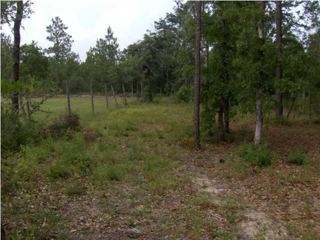 3537 Richardson Road Crestview, FL 32539 - Photo 27 of 29 a view of a forest