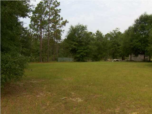 3537 Richardson Road Crestview, FL 32539 - Photo 28 of 29 a view of a field with trees in the background
