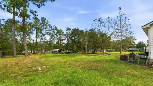a view of a park with large trees
