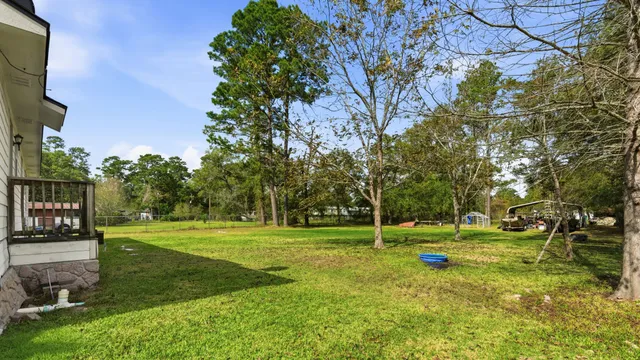 a view of a park with large trees