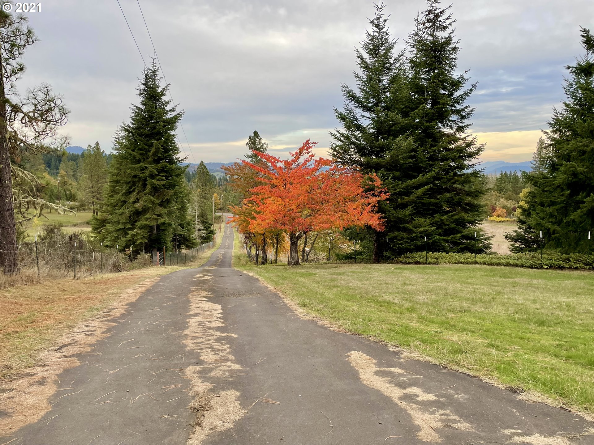 32488 Deberry Road Creswell, OR 97426 - Photo 25 of 30 Gallery Image 25
