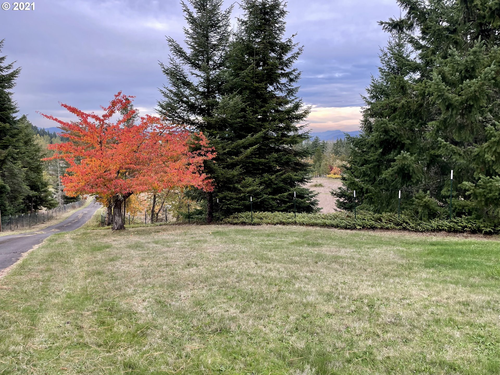 32488 Deberry Road Creswell, OR 97426 - Photo 4 of 30 Gallery Image 4