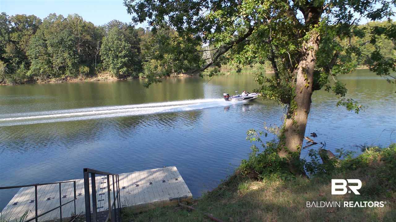 21 Jimmie Phillips Road Sawyerville, AL 36776 - Photo 10 of 41