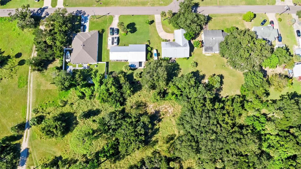 Wilkinson Avenue Edgewater, FL 32132 - Photo 7 of 12 a picture of flowers