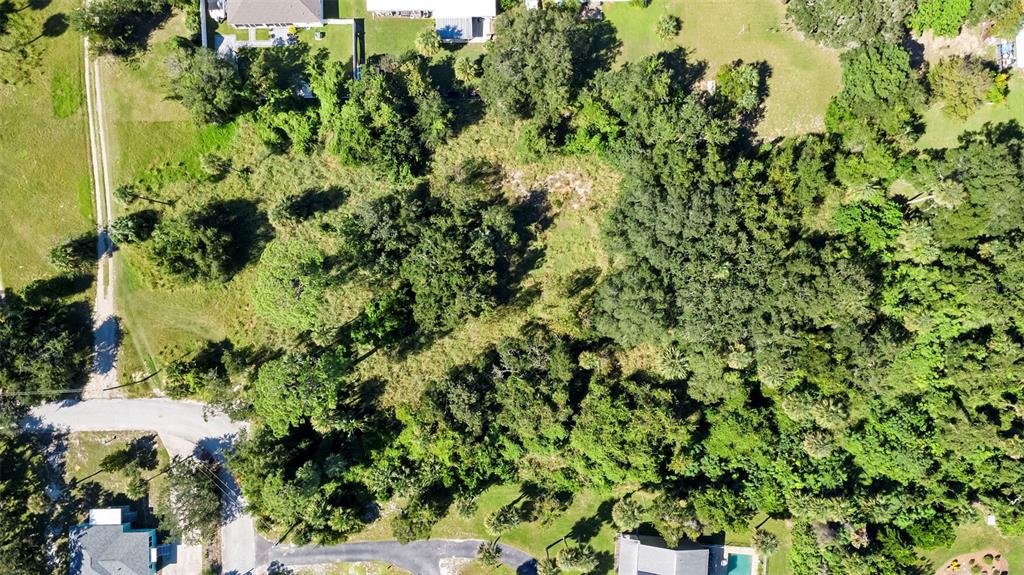 Wilkinson Avenue Edgewater, FL 32132 - Photo 8 of 12 a view of a garden