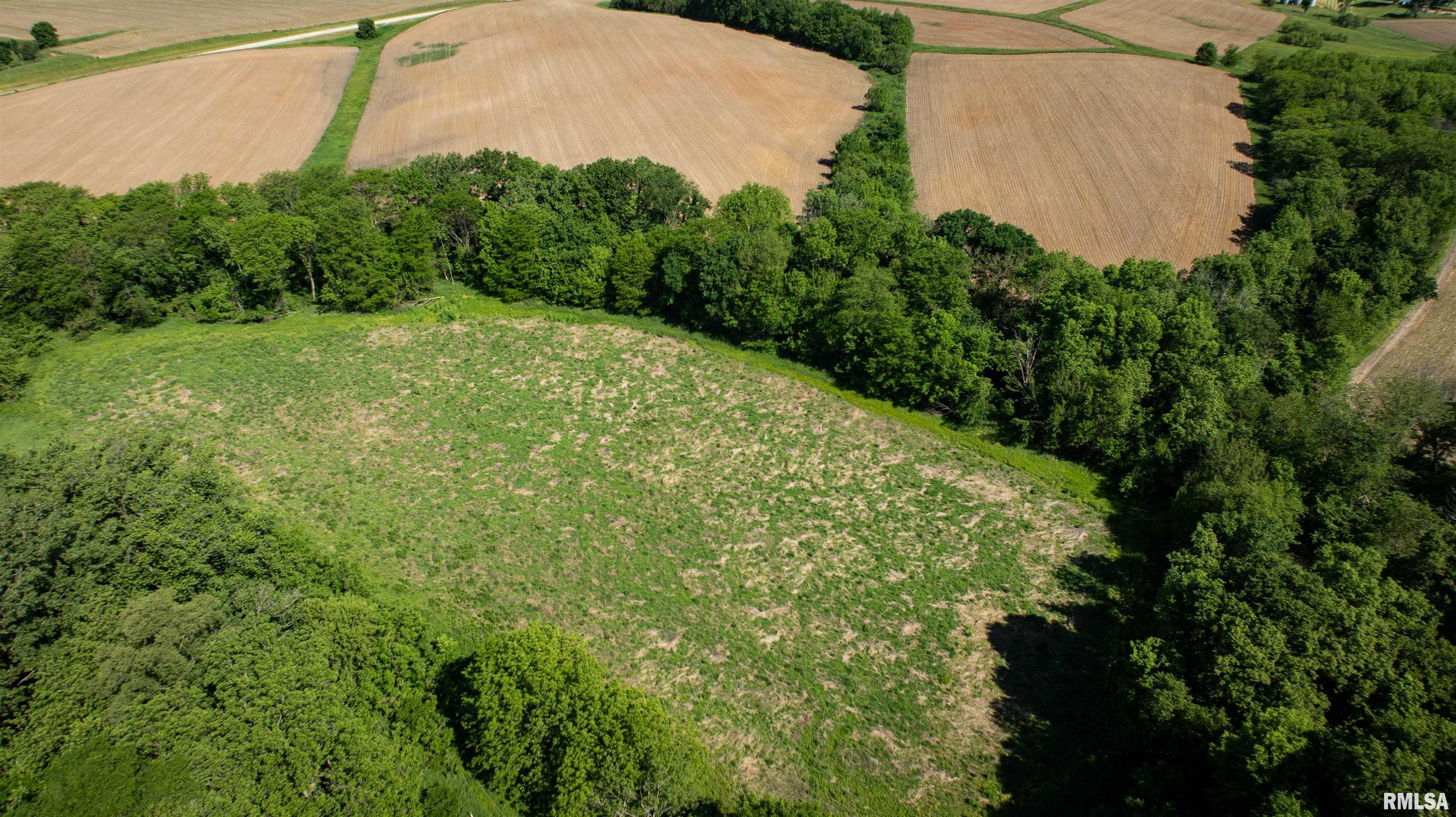 243 Il Route 97 Route Maquon, IL 61458 - Photo 9 of 41