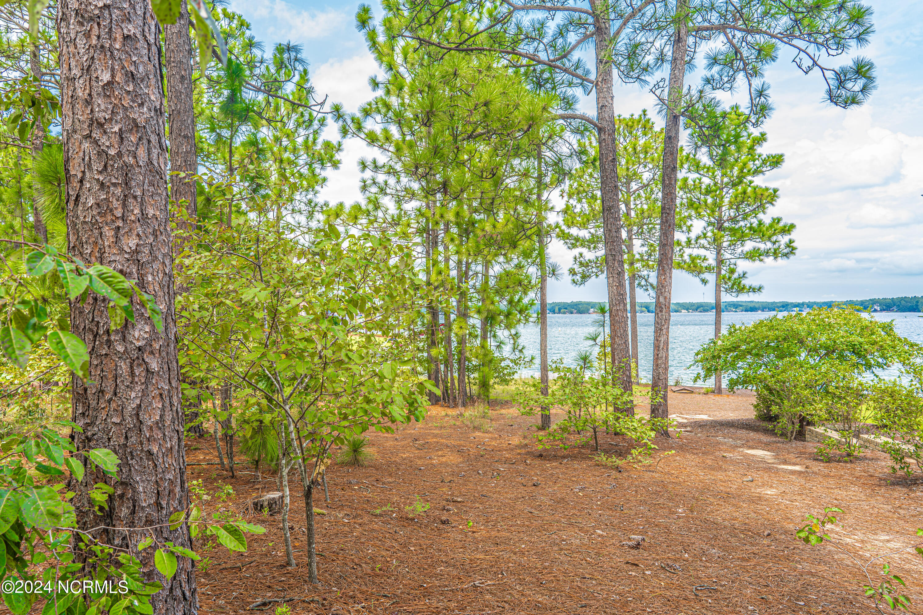 101 P3093 Seven Lakes, NC 27376 - Photo 6 of 11 DSC05744