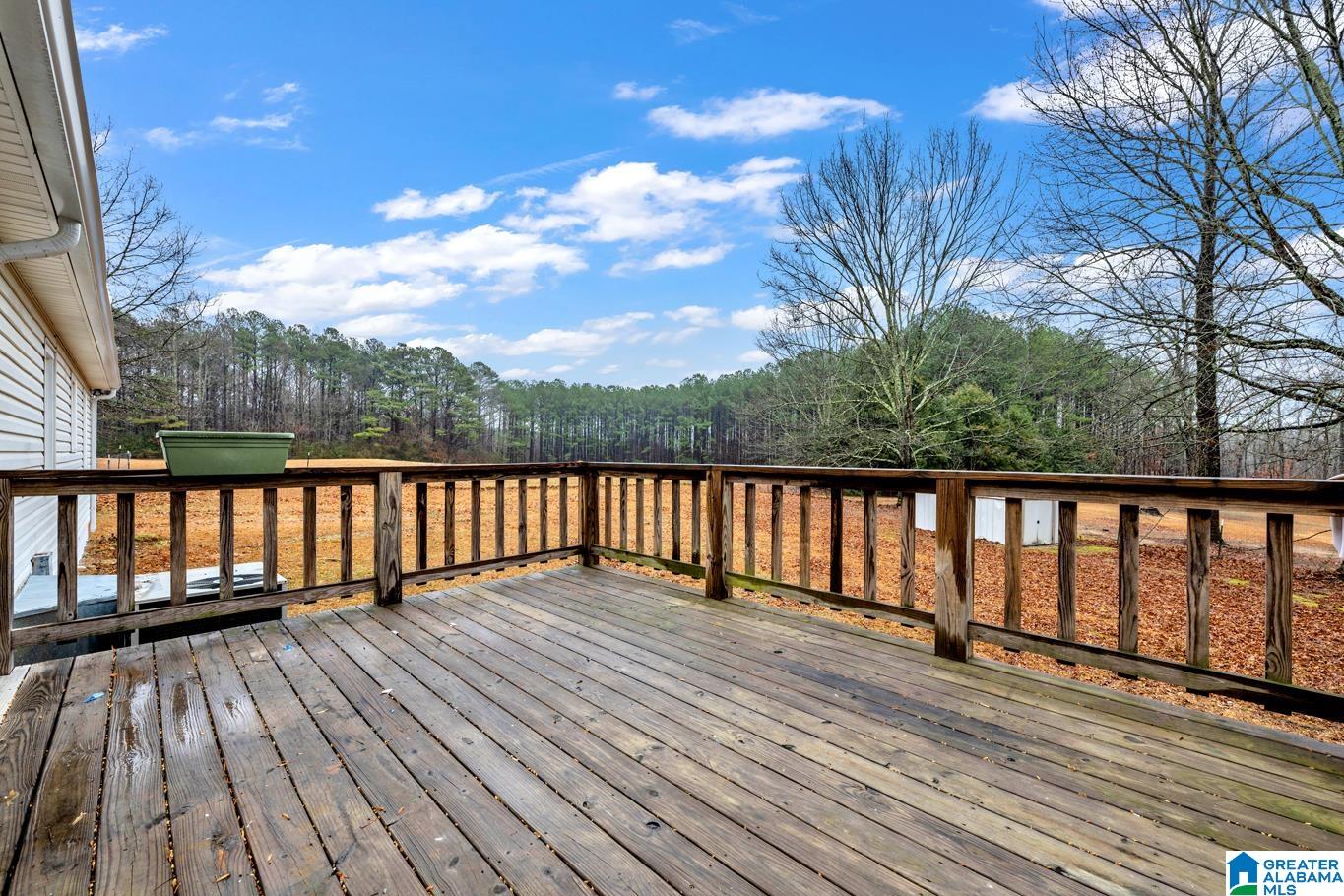 2630 Kemp Road Warrior, AL 35180 - Photo 8 of 36