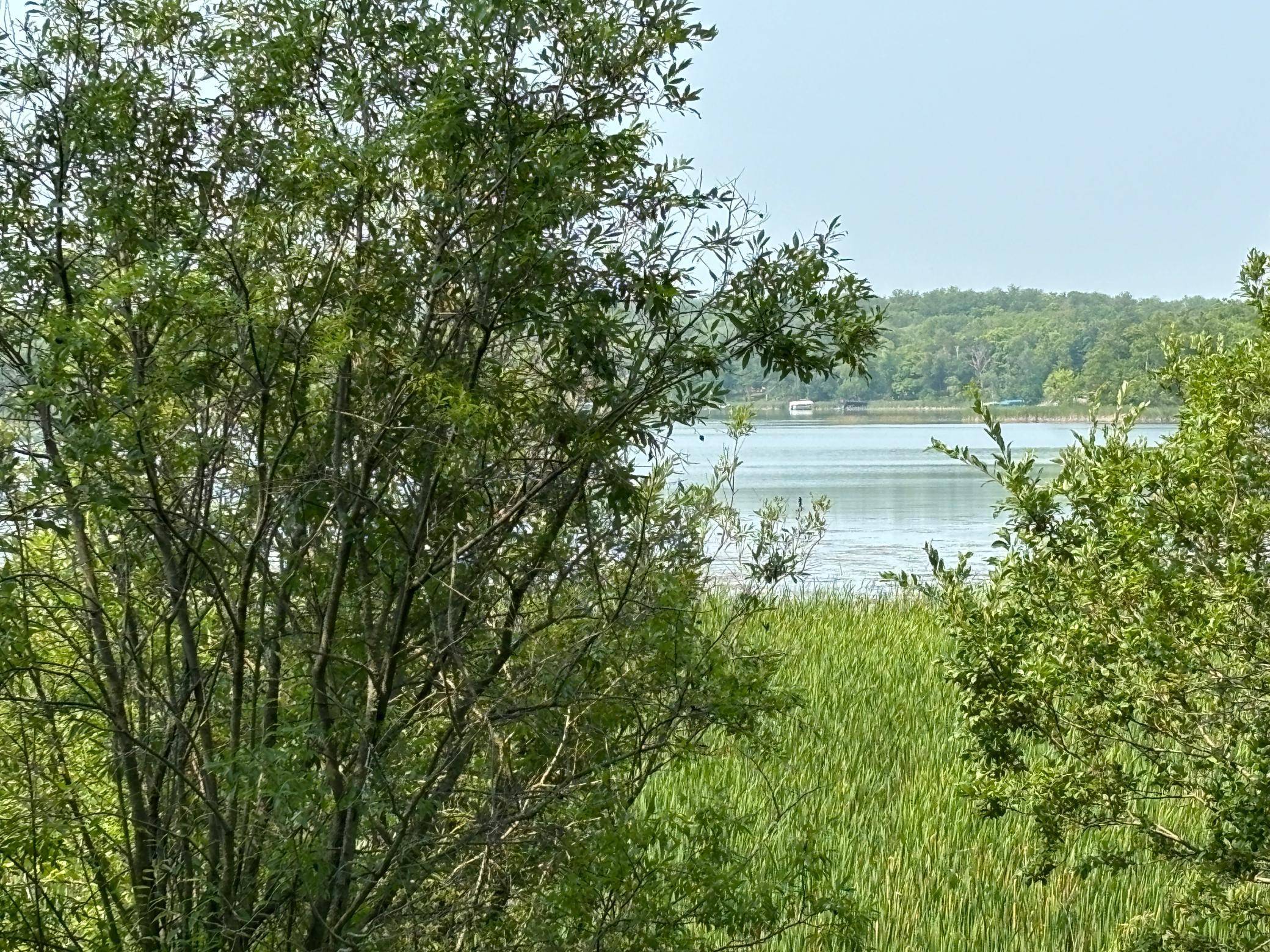 1246 Island Lake Road Lengby, MN 56651 - Photo 2 of 14