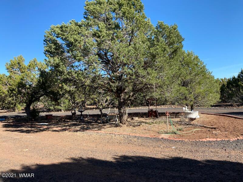 120 County Rd N3114 Show Low, AZ 85901 - Photo 17 of 21