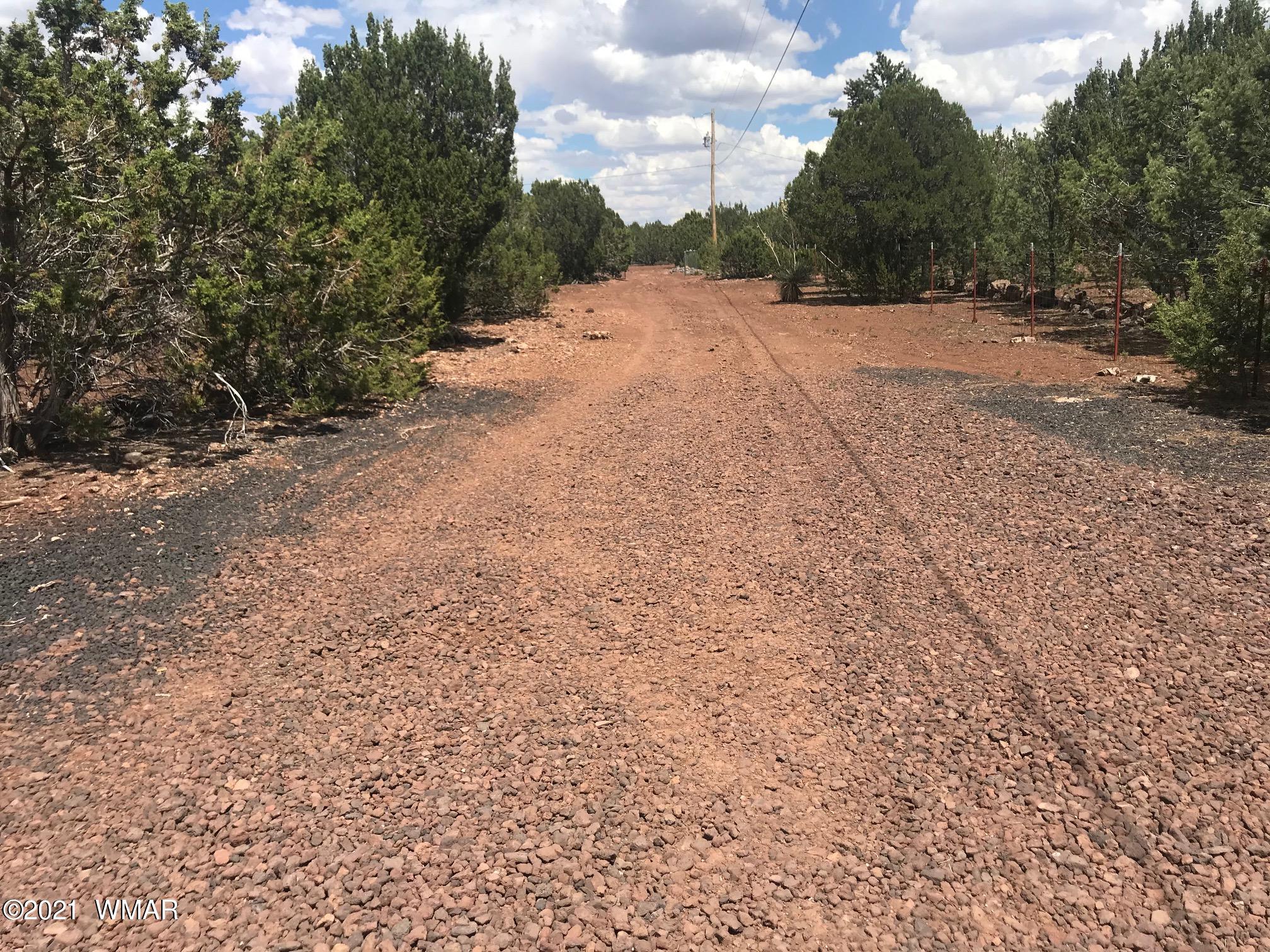 120 County Rd N3114 Show Low, AZ 85901 - Photo 21 of 21