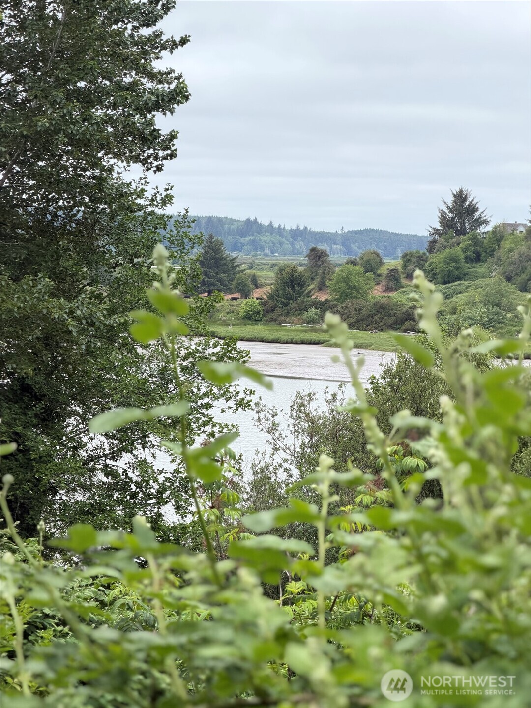 1171 Ray Hicks Street Raymond, WA 98577 - Photo 14 of 33 a view of lake with mountain