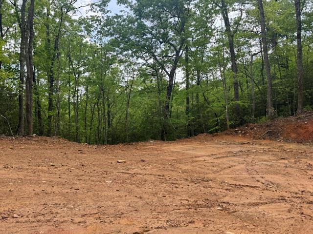 0 Tyler Lane Marble, NC 28905 - Photo 1 of 31 Main View