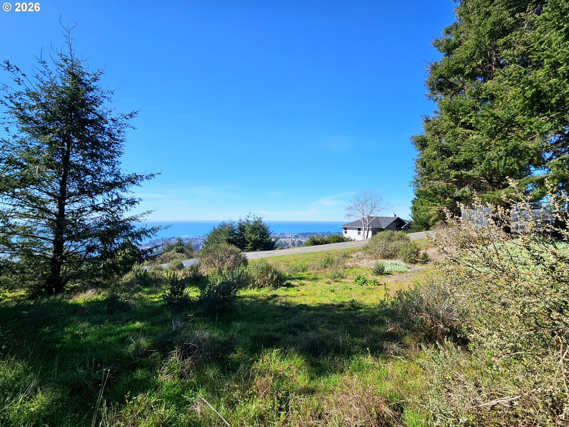 98007 Crown Terrace, Unit 7 Brookings, OR 97415 - Photo 4 of 18 a view of a lake with a tree
